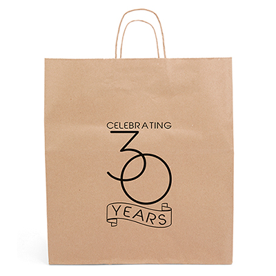 Eco Knight Paper Bag with Twisted Handle