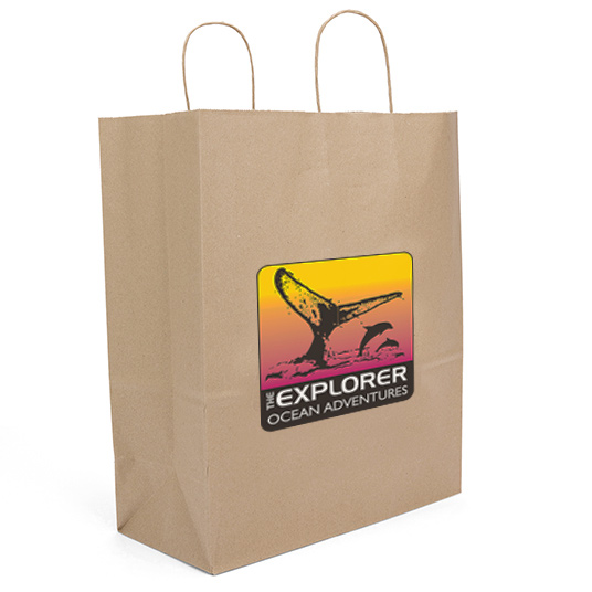 Eco Guard Paper Bag (Color Vista)