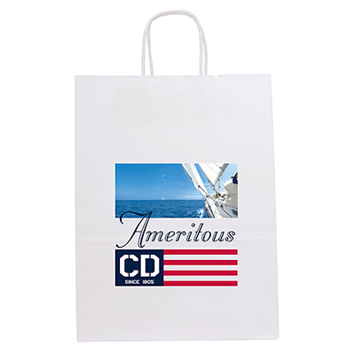 White Fort Paper Bag (Color Vista)